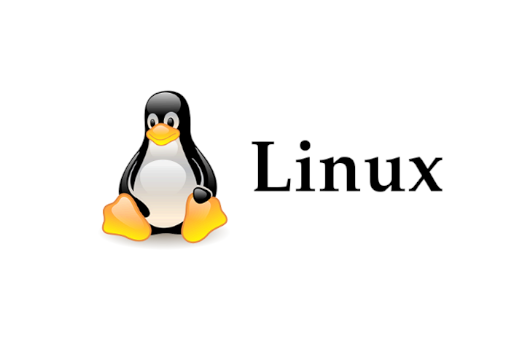 Linux Kernel